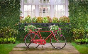 Велосипед у окна 12-010