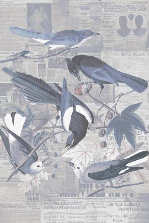 Bird paper 24-325