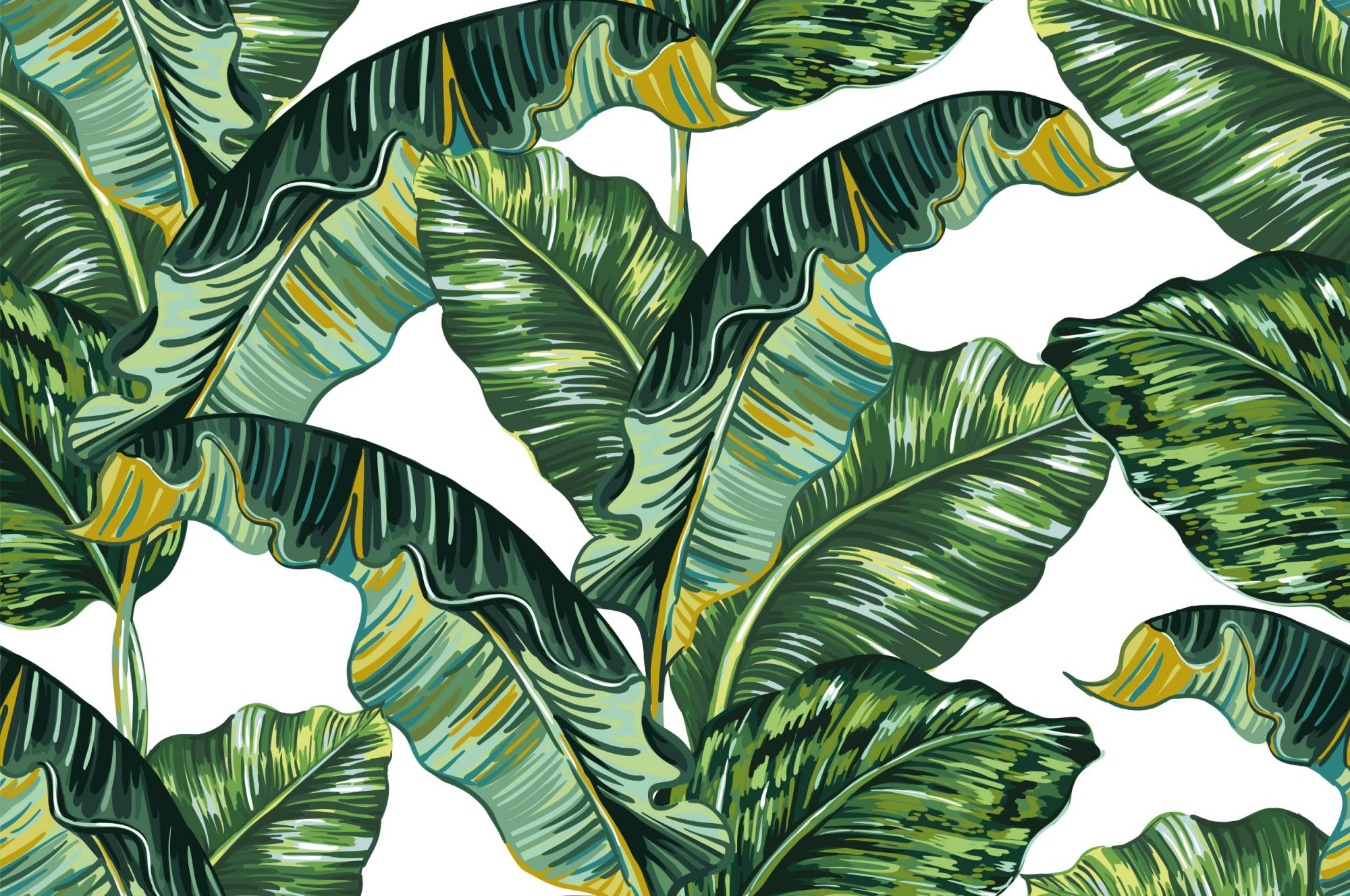 Фреска банановые листья тропические
